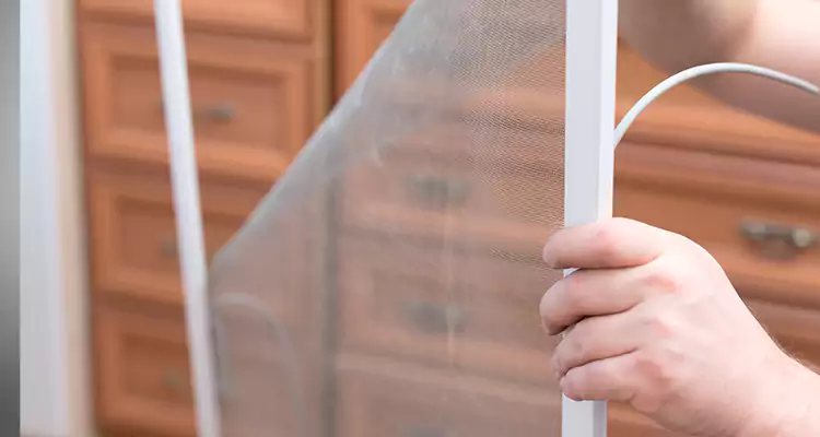 Privacy Mesh Screen Door Installation in Fort Myers, FL