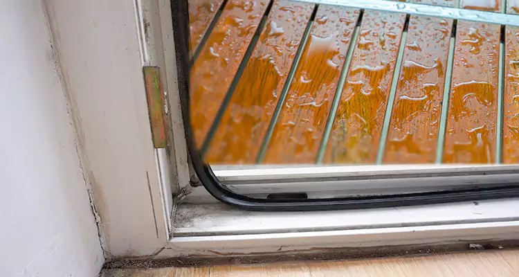 Water Leaking Wooden Patio Doors Repair in Fort Myers, FL